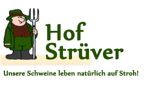 Logo-Struever
